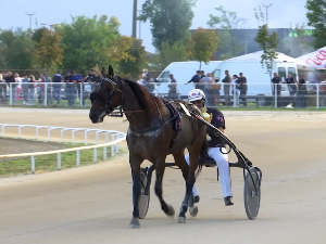 Сомбор: Узбудљиво на хиподрому пред крај сезоне