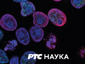 Декодирање:	24. епизода