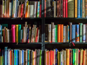 Да ли је књига и даље на цени?