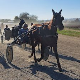 Најбоље село у Србији