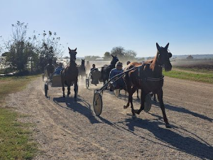 Најбоље село у Србији