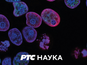 Технологије и ми:	ЕТРАН 2022