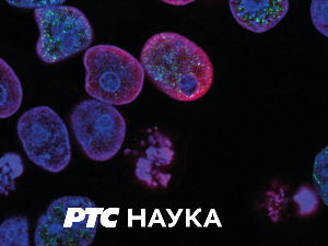 РТС ЛАБ-минијатуре:	Научна комуникација