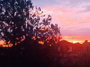 Ритам раног јутра	