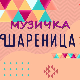 Музичка шареница