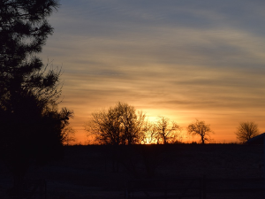 Ритам раног јесењег јутра