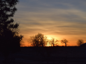 Ритам раног јутра