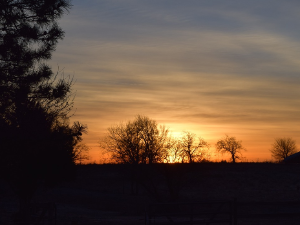 Ритам раног јутра