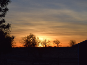 Ритам раног јутра