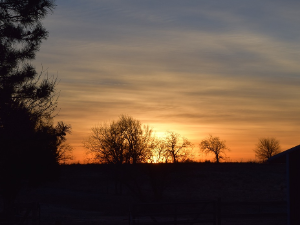 Ритам раног јутра