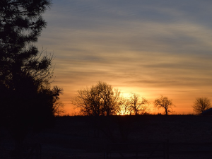 Ритам раног јутра