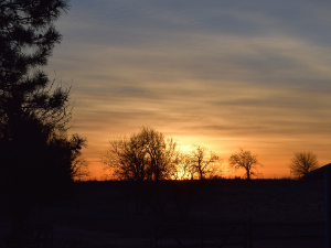 Ритам раног јутра