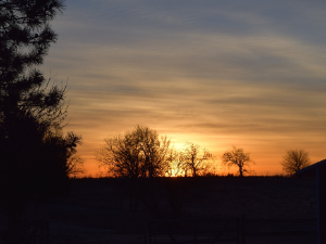 Ритам раног јутра