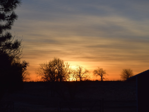 Ритам раног јутра