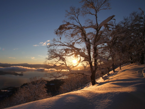 Ритам раног јутра	