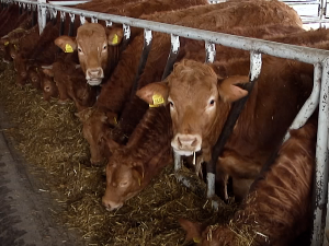  Подстицаји за сточаре