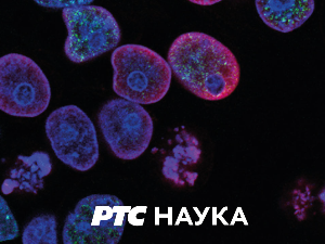 	Научни пројекти академске заједнице:	Факултет спорта и физичког васпитања