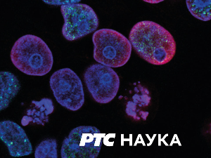 Питајте природу:	Пета емисија