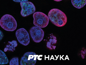 Траг:	Тајне Ресавске долине