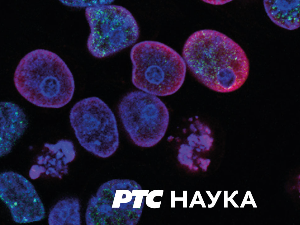 РТС ординација:	8ц, ем. 5