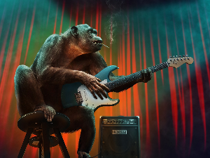 Новогодишњи музички маратон 202: Песме посвећене животињама