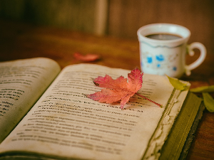 Хиге – како да постигнете дански концепт за уживање у истинској срећи током зимских дана