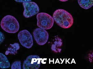 Научни интервју:	Паметни градови – др. Гифингер