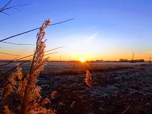 Ритам раног јутра