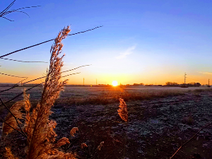 Ритам раног јутра