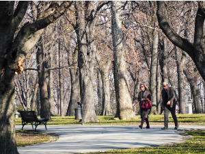 Хладно јутро, током дана сунчано