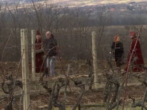 Свети Трифун - почетак виноградарске године