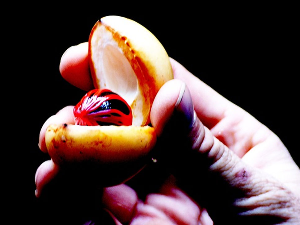 Да ли афродизијаци заиста делују