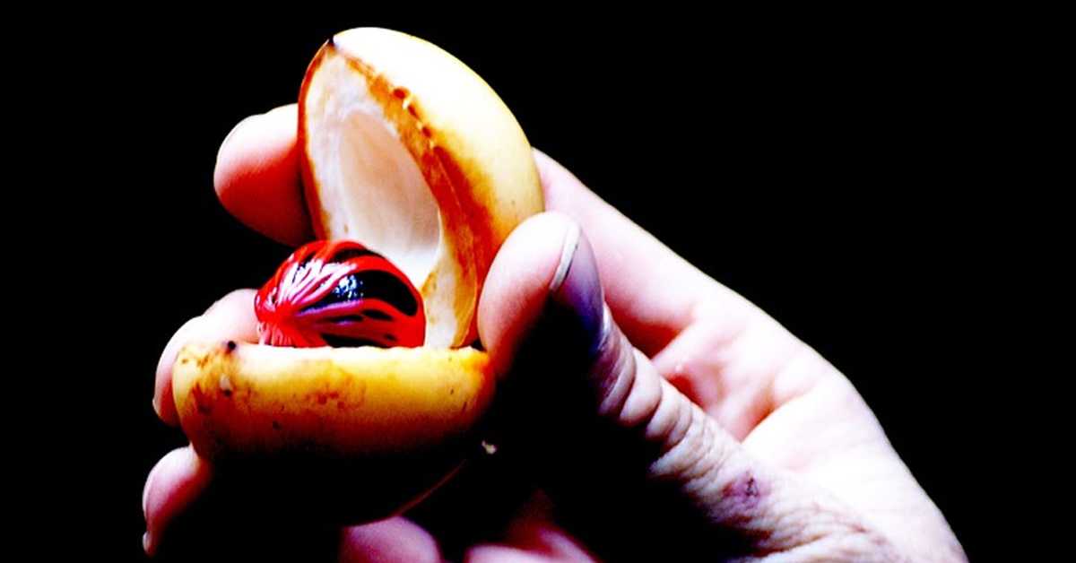 Да ли афродизијаци заиста делују