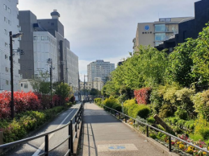 Вероника Шарова – Човек који шета (2)