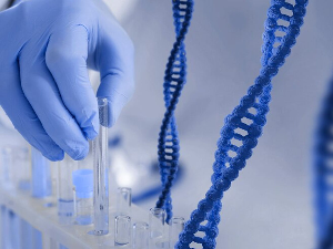 У америчкој студији откривено 275 милиона потпуно нових генетских варијација