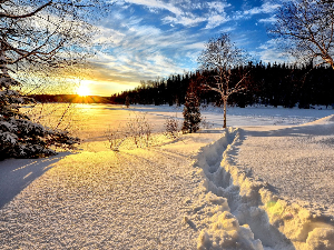 Ритам раног јутра