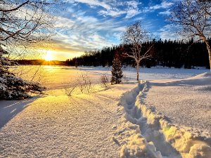 Ритам раног јутра