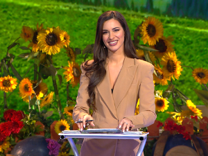 Ја волим Србију