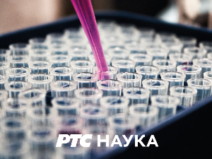 Нулта тачка:	Наша традиционална медицина