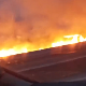 Пожар поред ауто-пута Нови Сад-Суботица, гори ниско растење