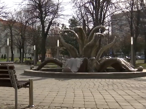 Камени цвет у Сремској Митровици