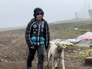 Сви изазови живота на Голији