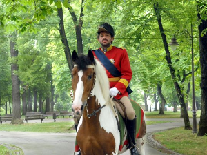 Кнежевина Србија