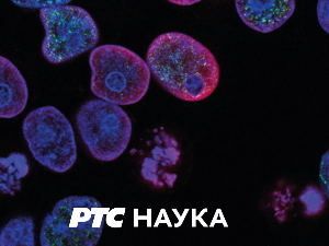 Српска музика кроз векове:	Војвођански музичари у 19. веку