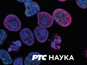 Наука у покрету: Нове технологије у образовању, Бетт схоw, први део