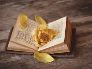 Оскар Давичо: ,,Самичари“