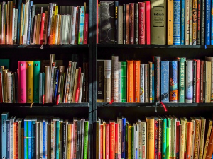 Предраг Крстић: Друштвени радикализми и њихове критике