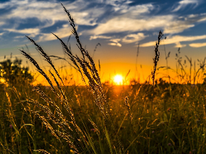 Уживо – ,,Устај срце, свануло је Сунце‘‘- Српске игре из Барање
