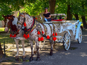  Фијакер