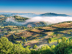  Галиција, пешице